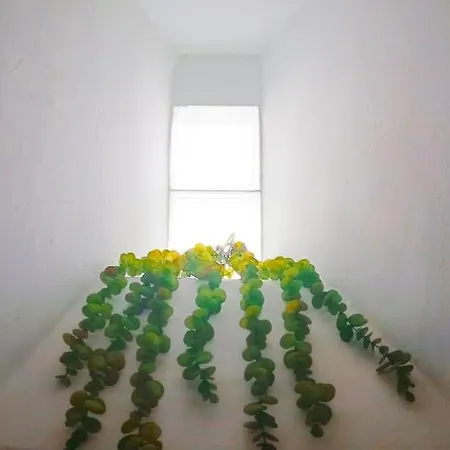 Porta 10 Albergue *